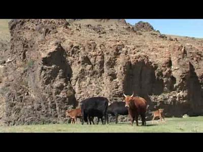Le Land Rover G4 Challenge traversera la Mongolie