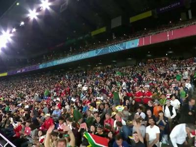 Pays de Galles - Afrique du Sud : le résumé et les essais du match en vidéo
