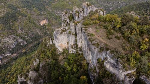 Festival des Templiers