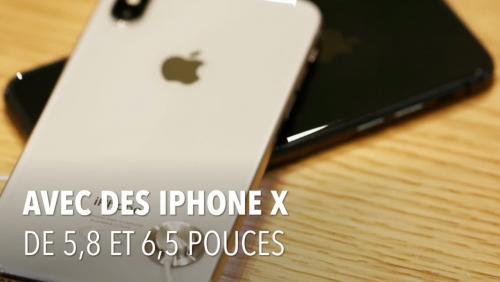 iPhone 6,1 pouces : les dernières rumeurs sur l'iPhone Low-cost