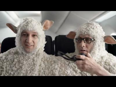 Des moutons dans des avions