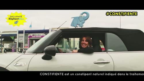 Constifiente : l'Elephant Bleu constipe les pigeons pour protéger votre voiture