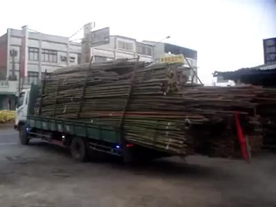 Décharger rapidement des tonnes de bambous, la méthode taïwanaise