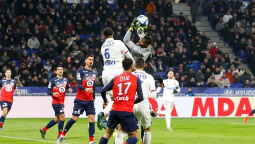 LOSC - OL : le bilan des Dogues à domicile