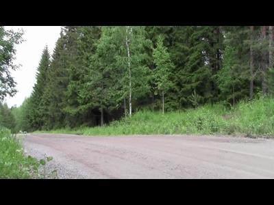 Volkswagen test la Polo WRC en Finlande