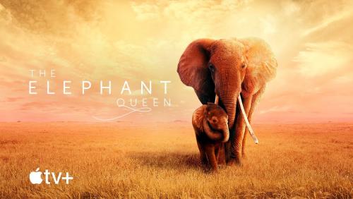 The Elephant Queen - Apple TV+