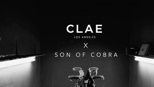 Clae x Son of Cobra