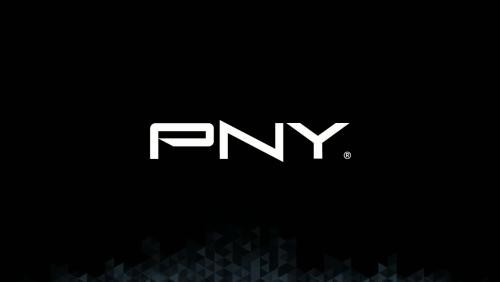 PNY Duo-Link : vidéo de présentation de la clé USB - Lightning pour iPhone et iPad